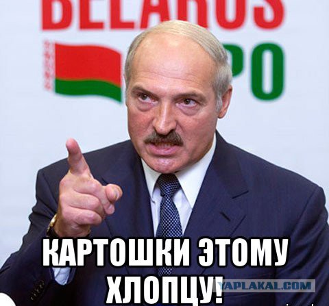На выборах Президента Беларуси победил