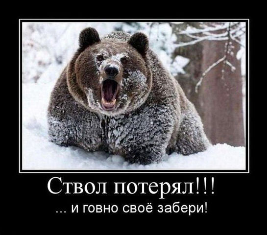 Веселые картинки