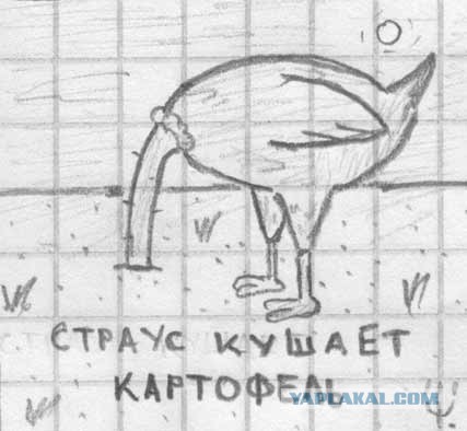 Веселые картинки