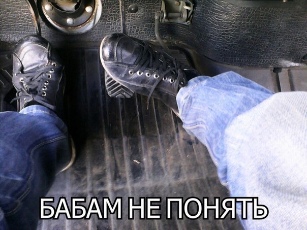 Приколы из сети