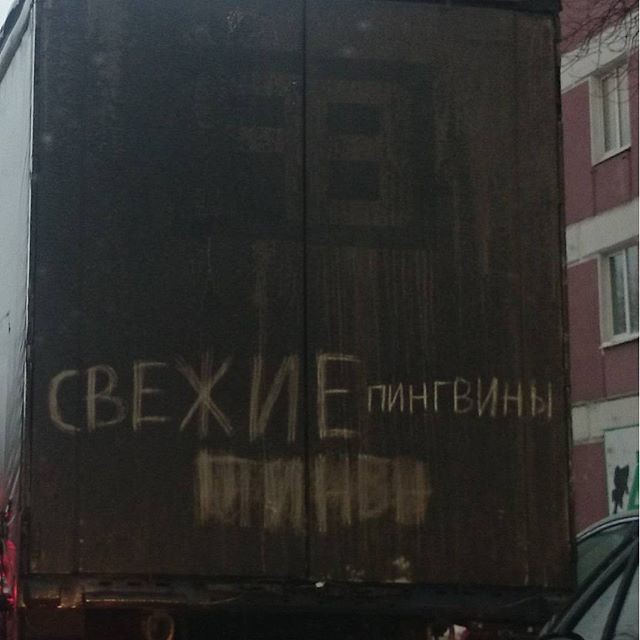 Подборка смешных и забавных фото