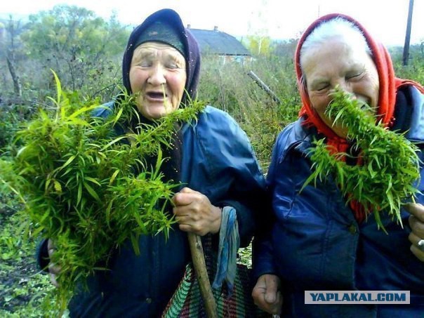 Странная девушка из Вконтакта