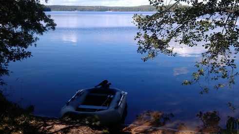 Я узнал, что у меня есть огромная семья