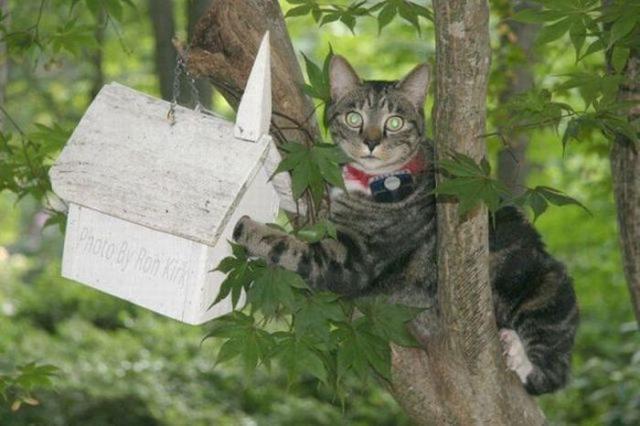 Следим за тобой, будь осторожен