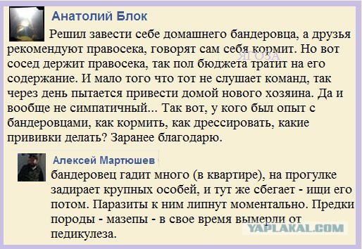 Майдан. Прямая трансляция.
