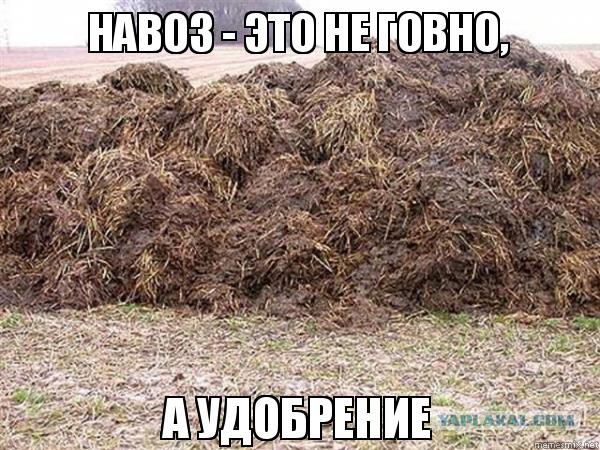 Как ты представляешь свою жизнь в Средневековье?