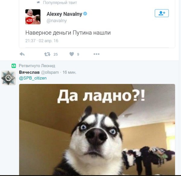 Провокация на Путина ожидается сегодня в 9 вечера