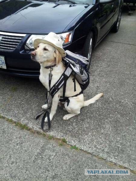 Интересные и веселые картинки