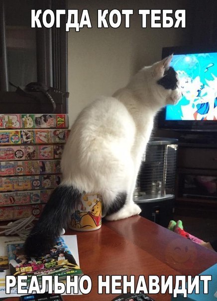 Очередная подборка фоток