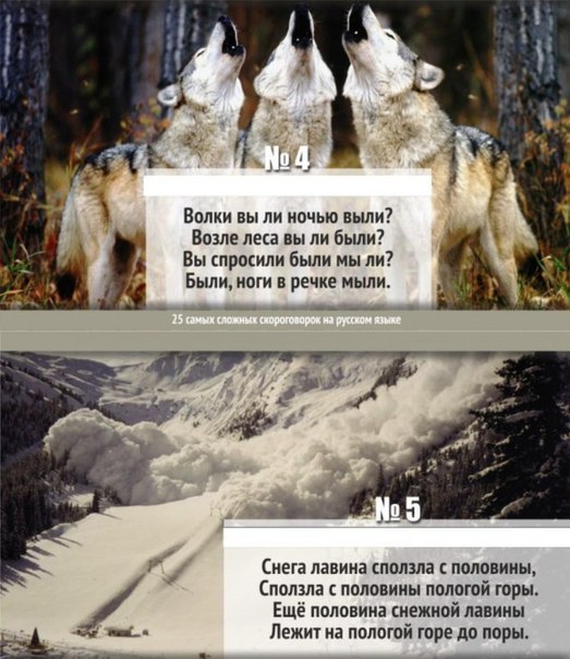 Интересные и веселые картинки