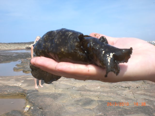 Море волнуется раз ....