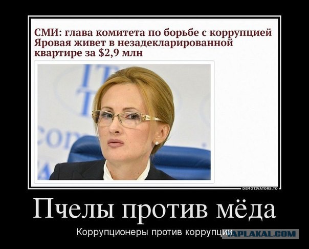 Коммунисты заподозрили Яровую в разжигании Майдана