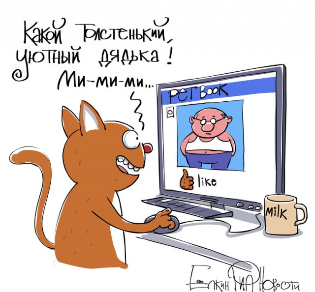 Забавные картинки вразнобой