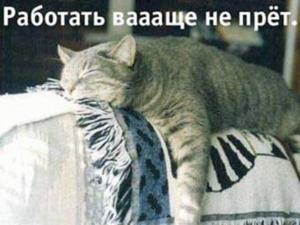 Смешные картинки