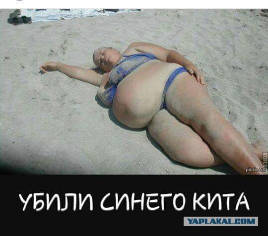 Синий кит