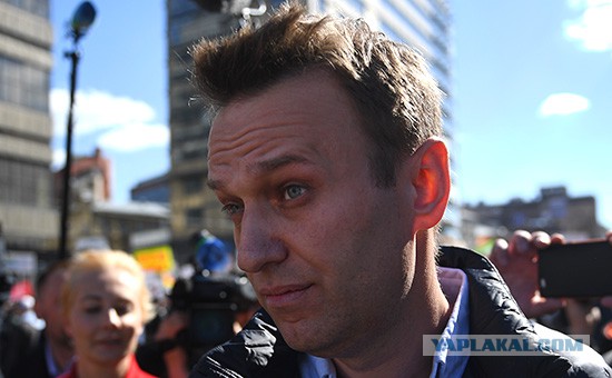 Навального задержали в подъезде его дома в Москве
