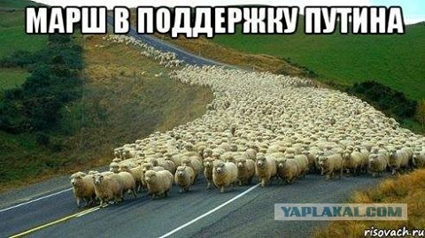 Стоишь себе такой за Путина