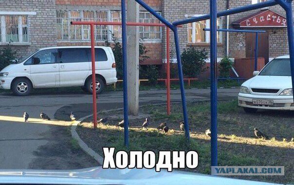 Забавные комментарии, шутки и фразы из этих ваших интернетов