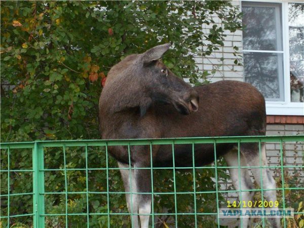 Самые секретные города СССР