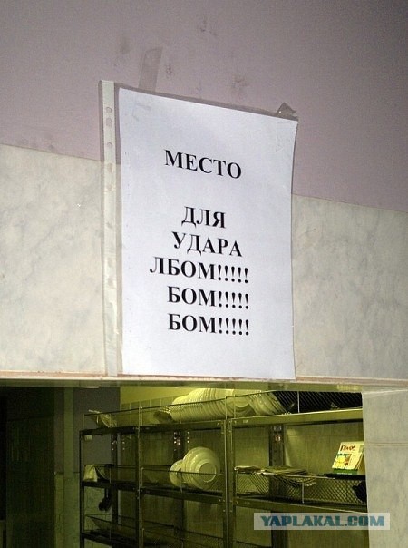 По родным просторам