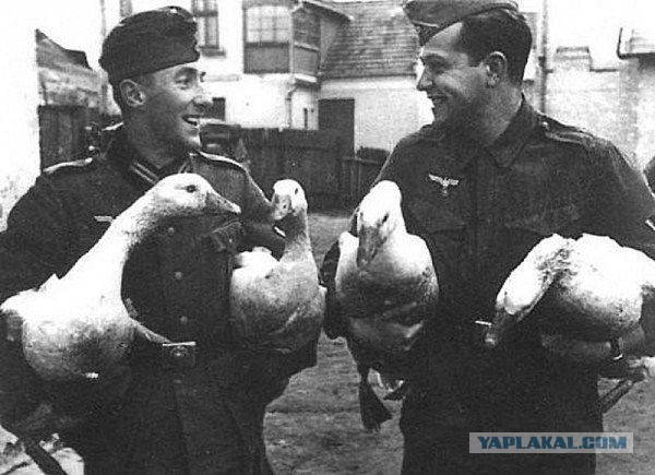 Вермахту каяться не в чем.Он против мирных жителей не воевал