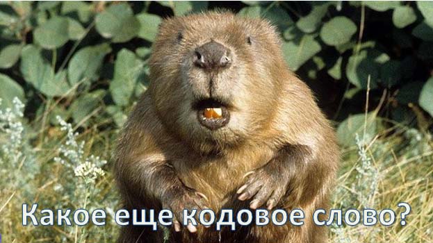Оператор банка и параллелепипед