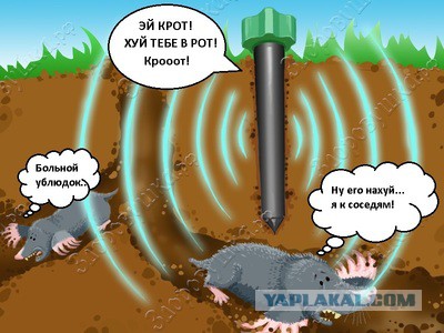 Борьба с кротами