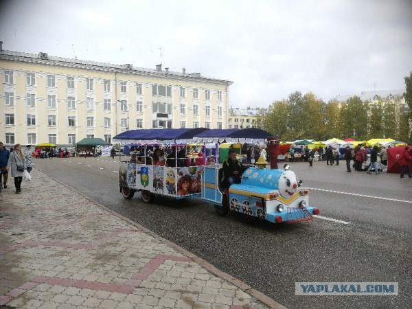 В Сыктывкаре паровозик, катающий детей по парку, оказался за решеткой