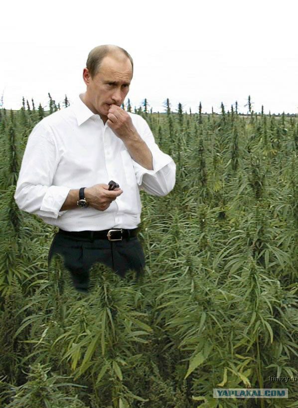 Владимир Путин достиг нирваны