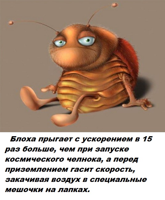 Подборка бесполезных фактов.