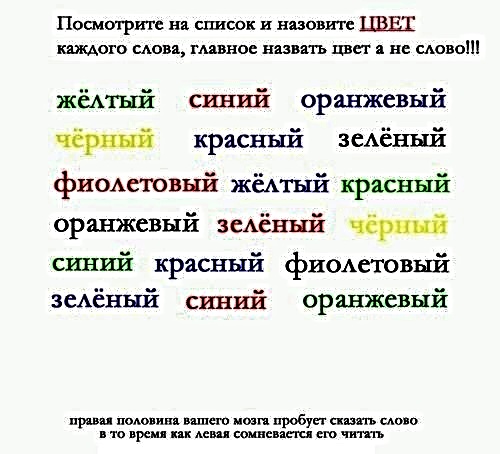 Анекдоты, истории и картинки с надписями