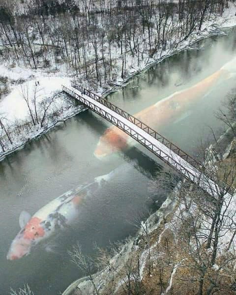 Бредзона 09.02.20