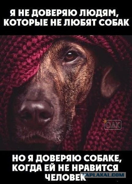 Желание жениться или же женская печалька