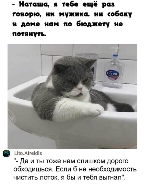 Баянисто-небаянистый юмор 7.11.20