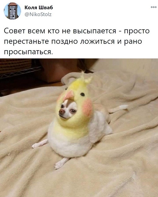 Годные картинки и не очень...