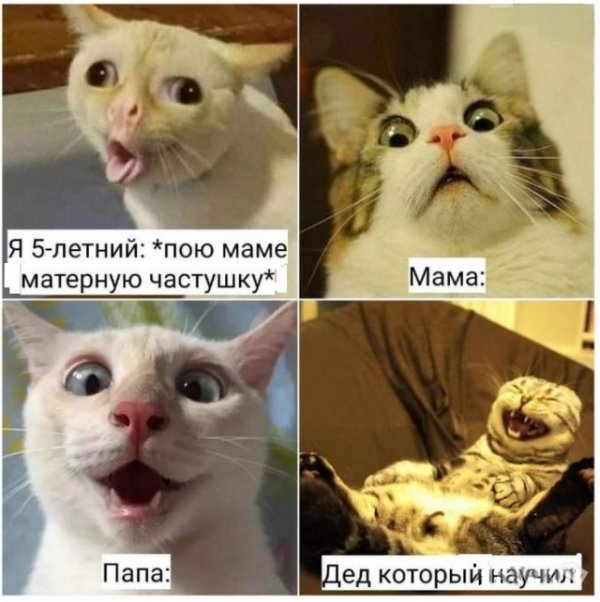 Прикольные и просто красивые картинки 13.07.2021