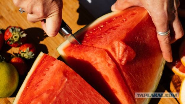 Дезинсектор из Екатеринбурга съел отравленный ядом арбуз