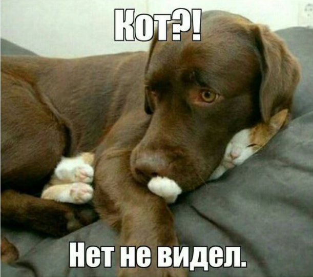 Чтобы выжить