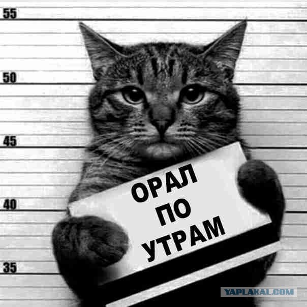 Пятнокожий зененхунд
