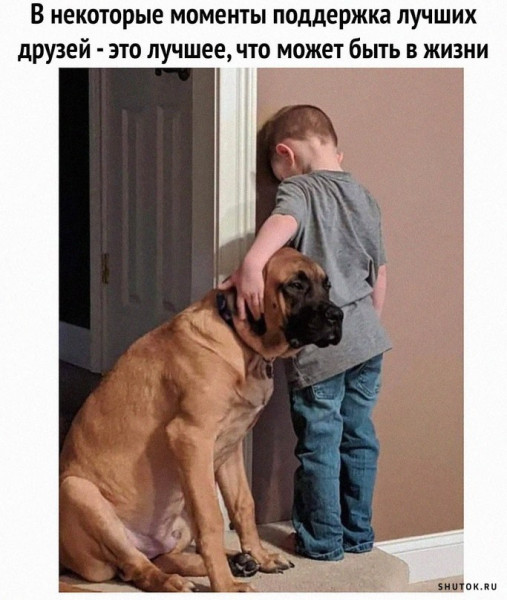 Юмор в картинках и без 23.08.22