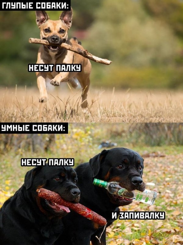 Клуб анонимных алкоголиков