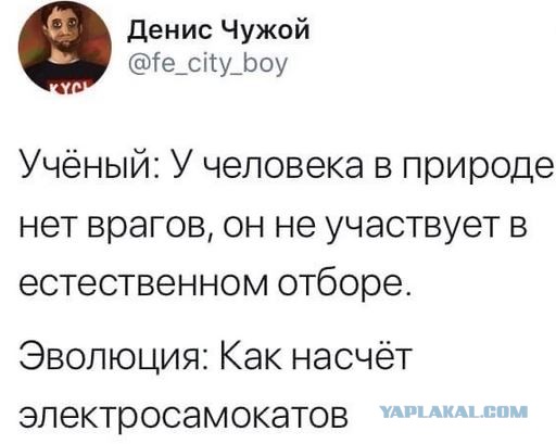 Так себе картинки 21.10.22