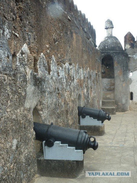 AFRICA - (Эфиопия,Кения,Танзация) 4-16 ноября 2011