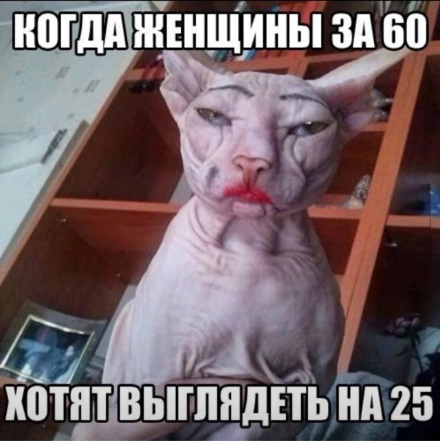Посмеялся сам - поделись с другом!!!