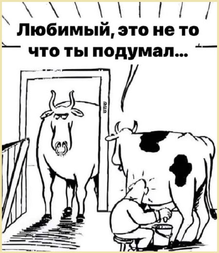 Баяны с распродажи