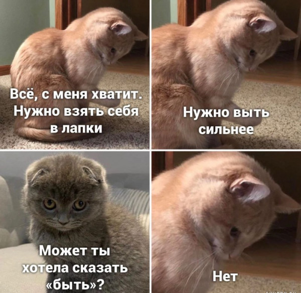 Завалялось тут случайно немного забавных картинок