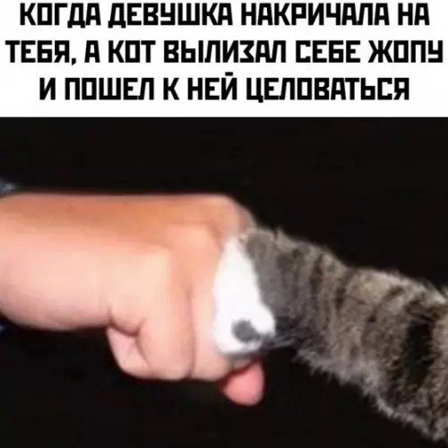 Картиночки, баянчики 25 февраля