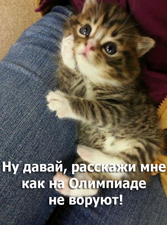 Путин: коррупции при подготовке к Олимпиаде в Сочи
