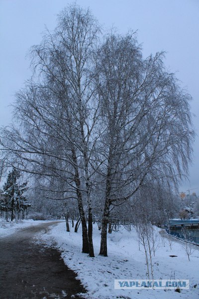 Одесская зима моими глазами…