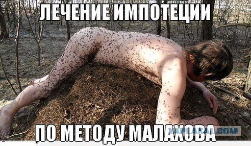 Хруст вырубил деда, просящего милостыню